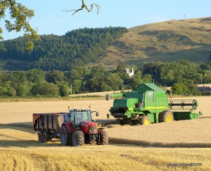 Harvest Time