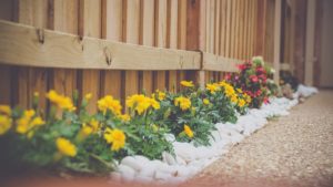 Flowers On Fence