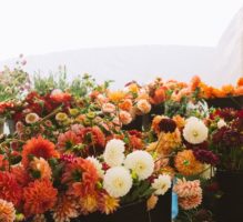 Autumn Flowers